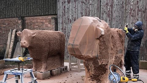 Graeme carving a Lincoln Red bull and heifer from Cove Red sandstone at his workshop in Leicestershire.
