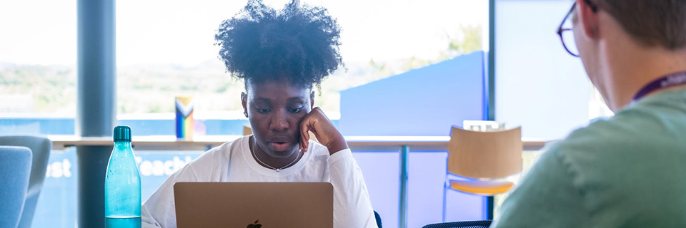 Students engrossed in their laptops.