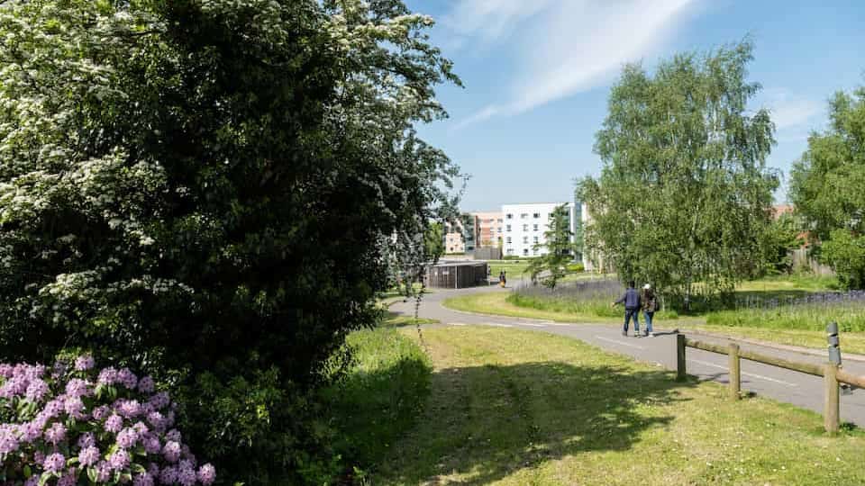 Grass, trees, shrubbery and a path. Robert Bakewell hall is in the distance.