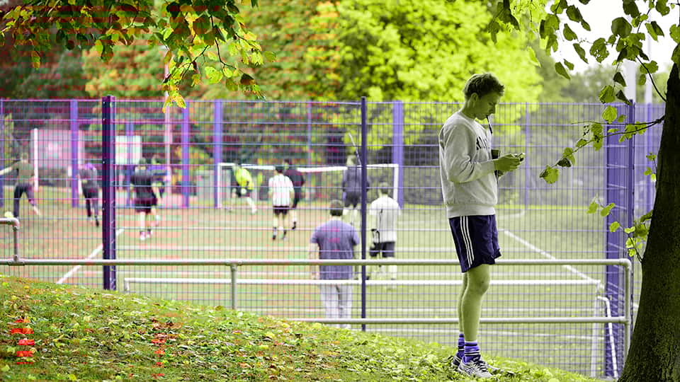 people on the ball park courts