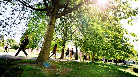 Students walking through trees on campus