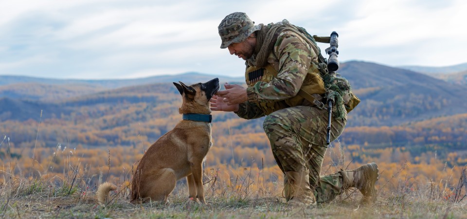 A soldier and his dog