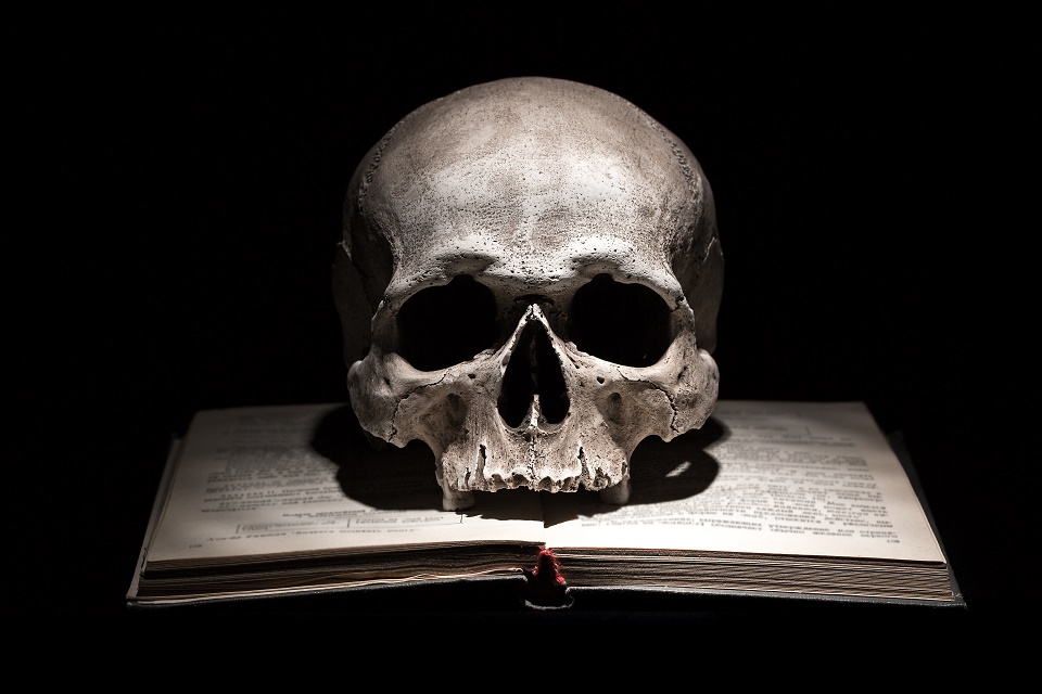 A skull is sat on top of an open book.