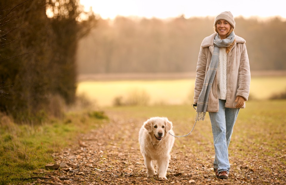 A woman walking a golden retriever dog on lead through an autumn country landscape