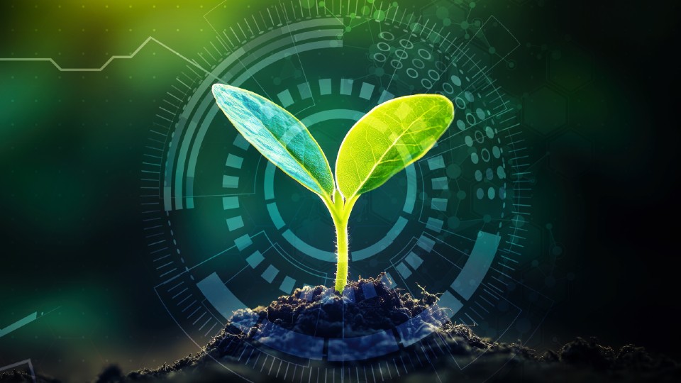 A small sprout coming out of soil with edited circles around it to give it a tech/AI feel.