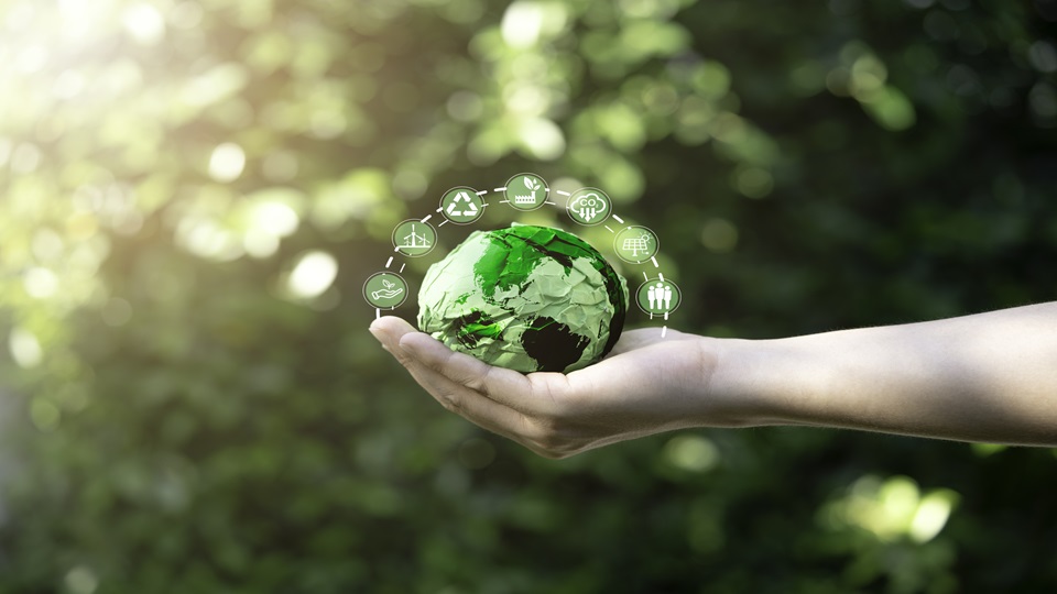 A hand holding a green ball symbolising the environment.