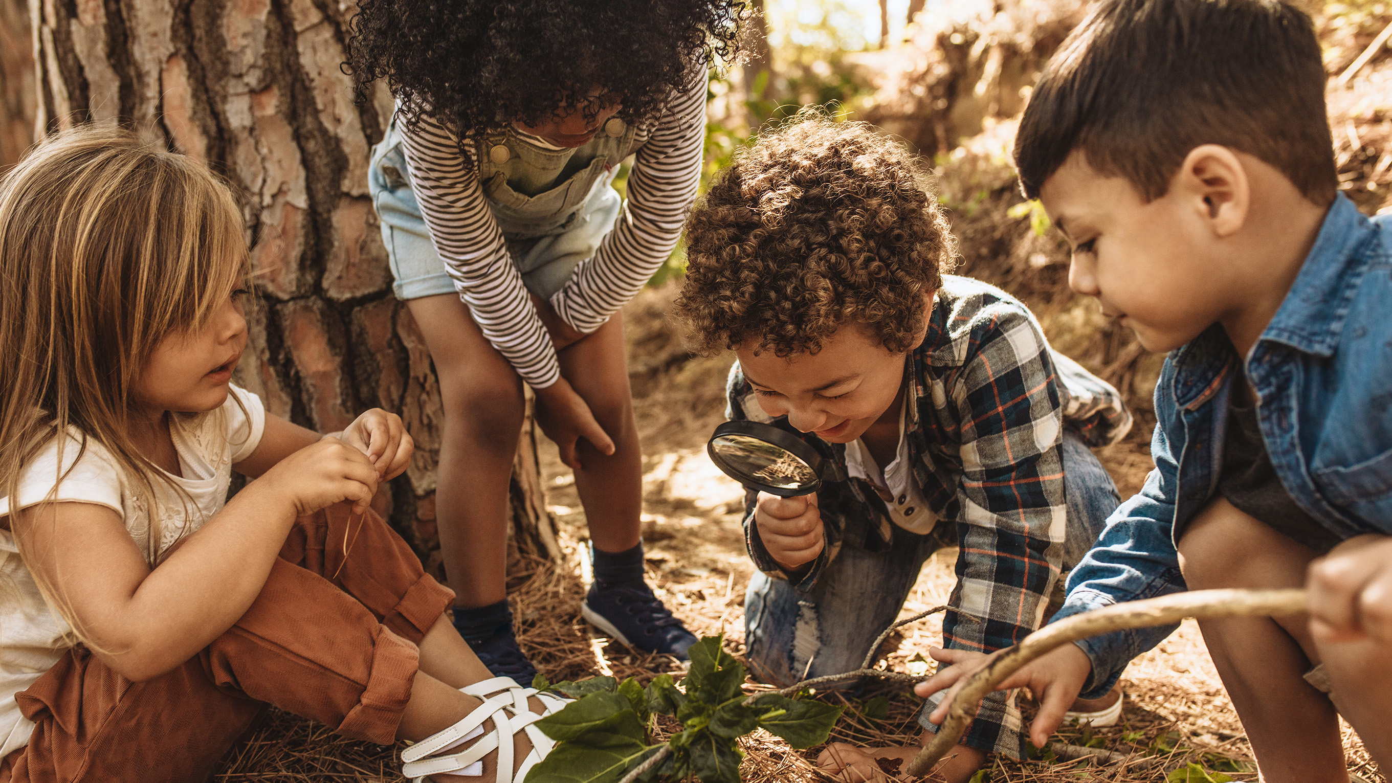 4 children sat playing outside in nature
