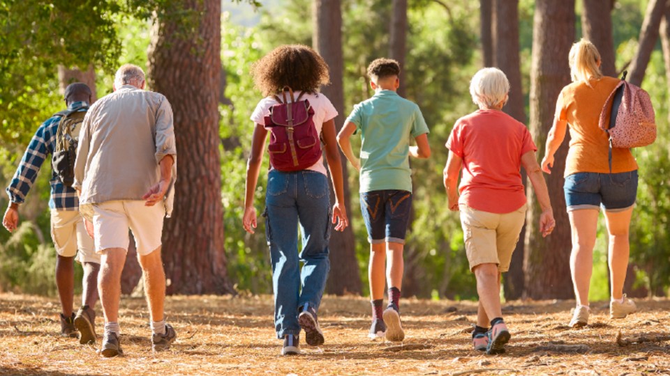 A group of people walking through a woodlands