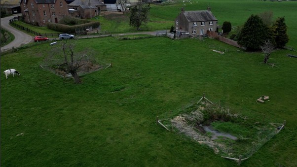 Two ponds on farm land which filter sediment and boost biodiversity