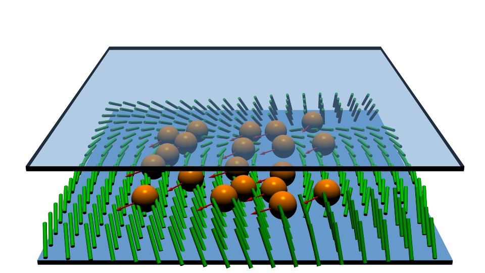 Image: An artistic impression of microswimmers (orange spheres) moving through a confined liquid crystal environment. The green rods represent the aligned molecular structure of the liquid crystal, which helps guide and influence the swimmers' motion.