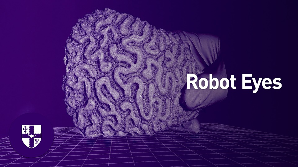 A titular graphic for the Robot Eyes project