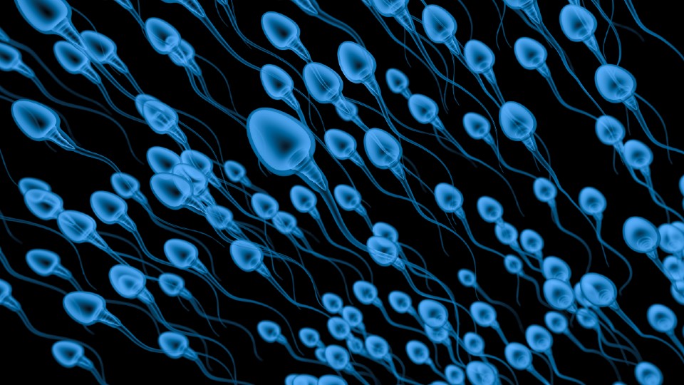 Digital drawing of blue sperm swimming on a black background
