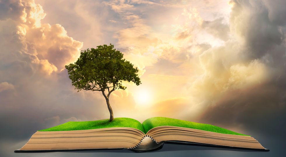 An image of a story book open with a tree growing out of it