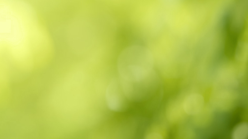 Abstract blurred green image