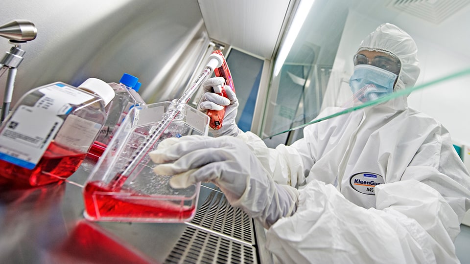 Lab work in the Centre for Biological Engineering