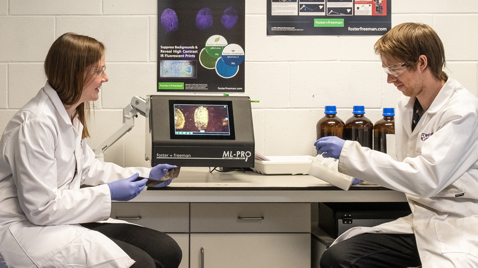 Researchers working in the lab on the RECOVER project