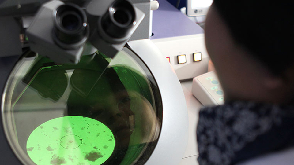 A photograph showing a researcher working in the LMCC