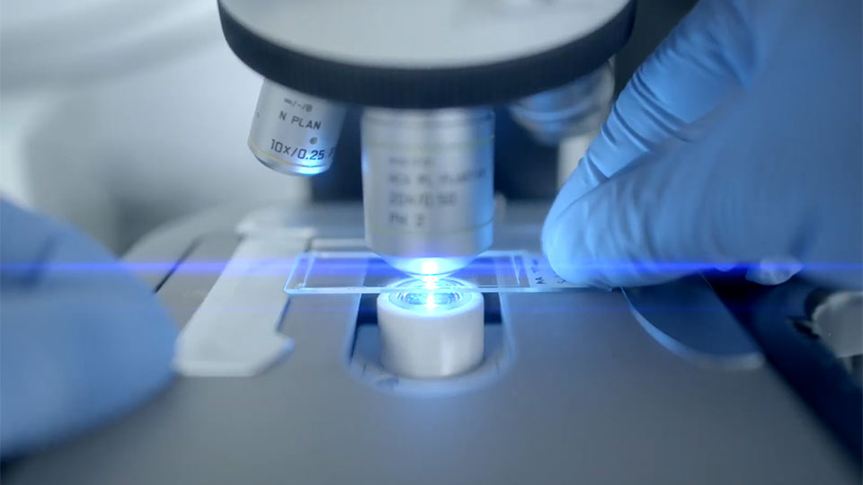 Two hands in blue gloves holding a slide under a microscope lens