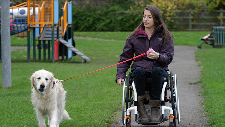 Wheelchair user exercising with a dog in a park