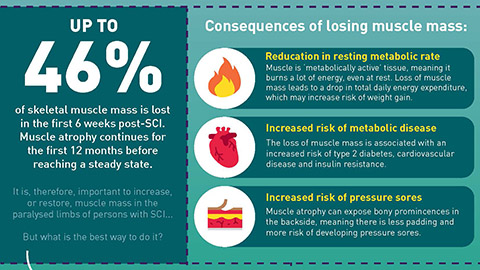 Snapshot of infographic on the protocols to improve muscle mass in persons with motor complete SCI