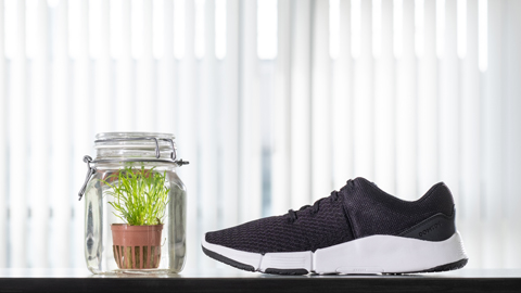 A beaker of algae beside a black trainer