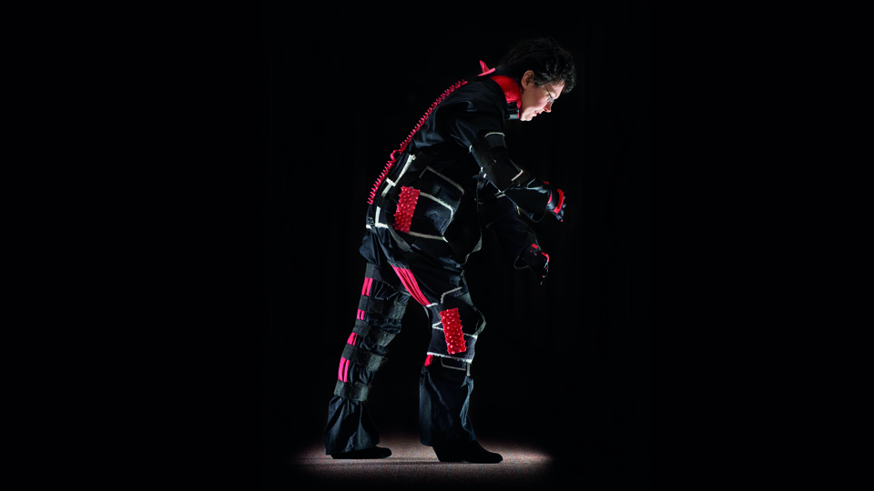 One of the LUSKInS simulations