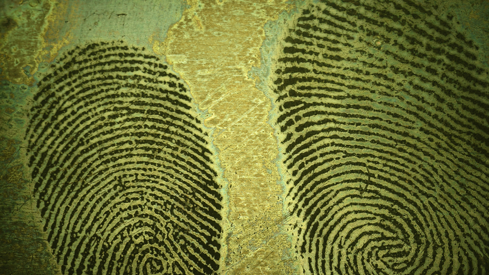 Close up photograph of fingerprints