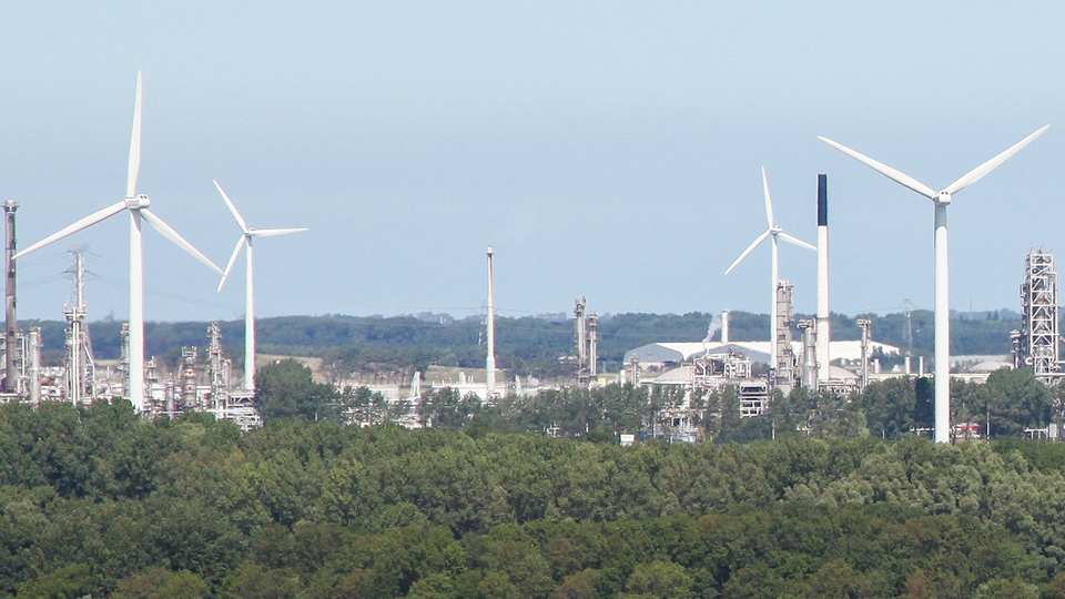Photograph of a wind farm