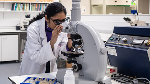A female researcher wearing a white lab coat looking into a microscope