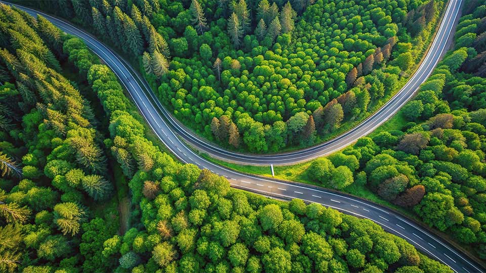 Birdseye view of forest with road going through
