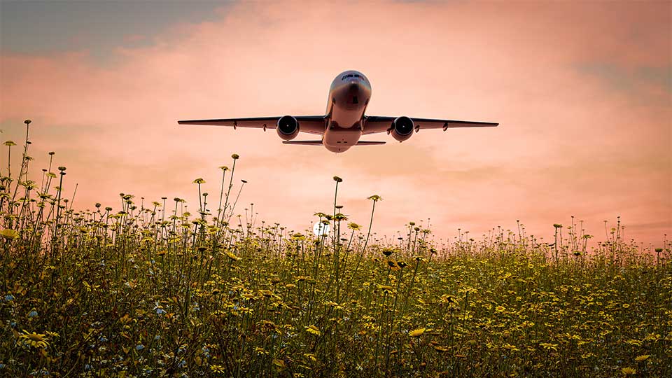 Plane flying over a field of flowers