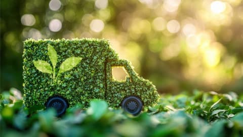 A graphic of a delivery van covered in greenery on top of leaves.