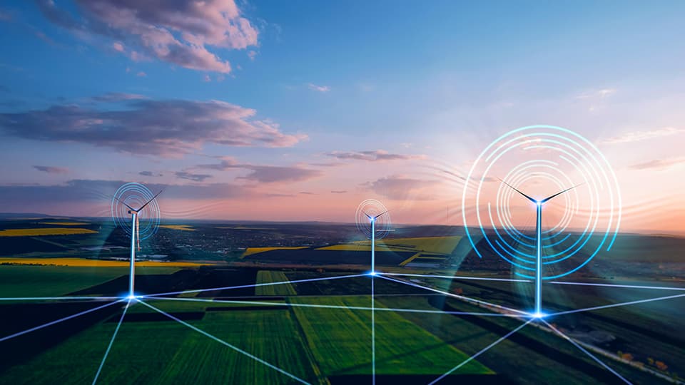 wind turbines in field