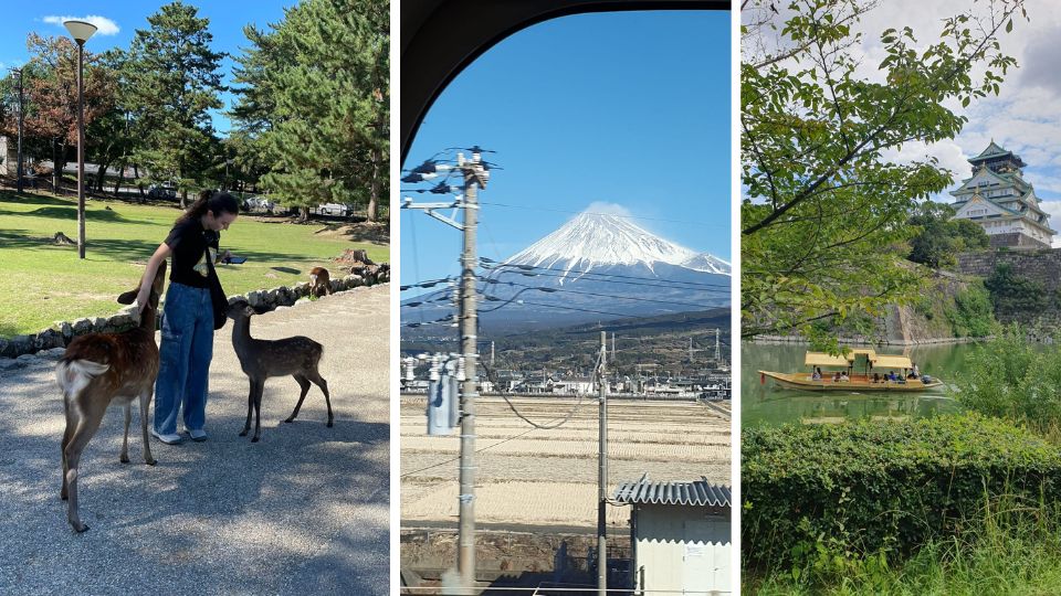 Naomi, on exchange in Japan, stroking deer in a park