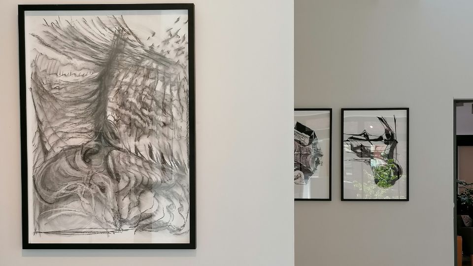 Sam Metz 'stimming' artwork in government gallery