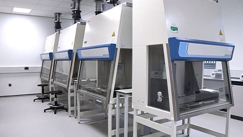 biosafety cabinet for sterile conditions when testing samples