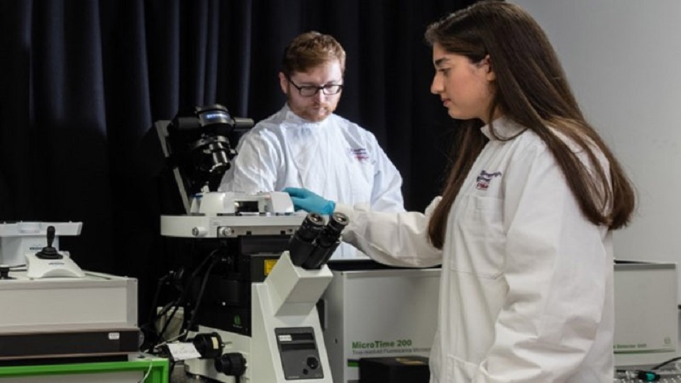 Researchers working in the lab