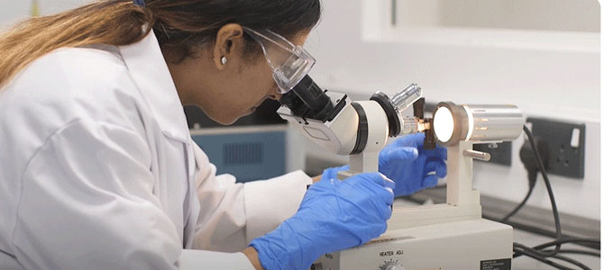 a research looking into a microscope