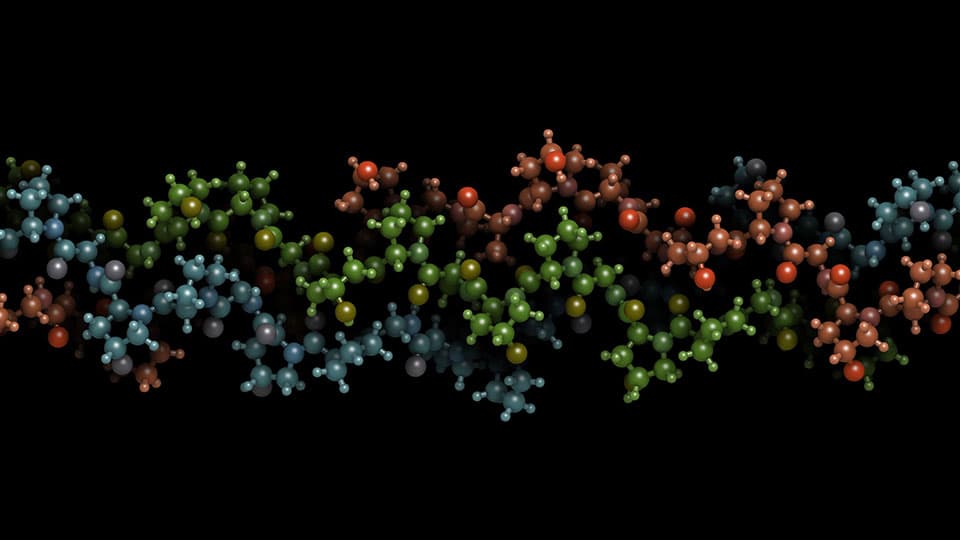 Collagen model protein