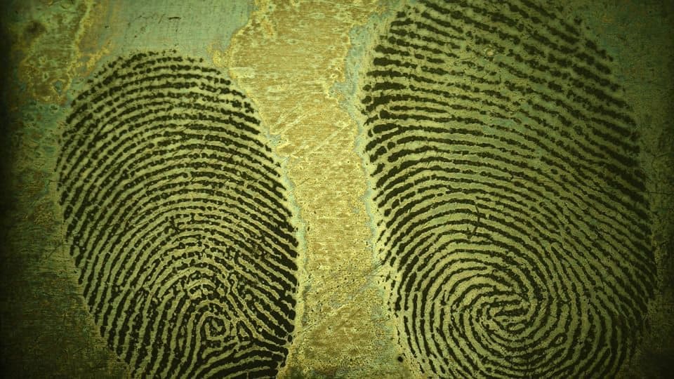 Fingerprints
