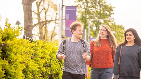 Three students walking outside with green trees and bushes behind them