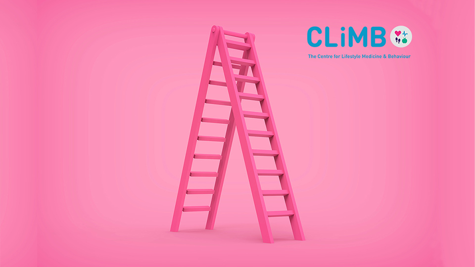 pink ladders