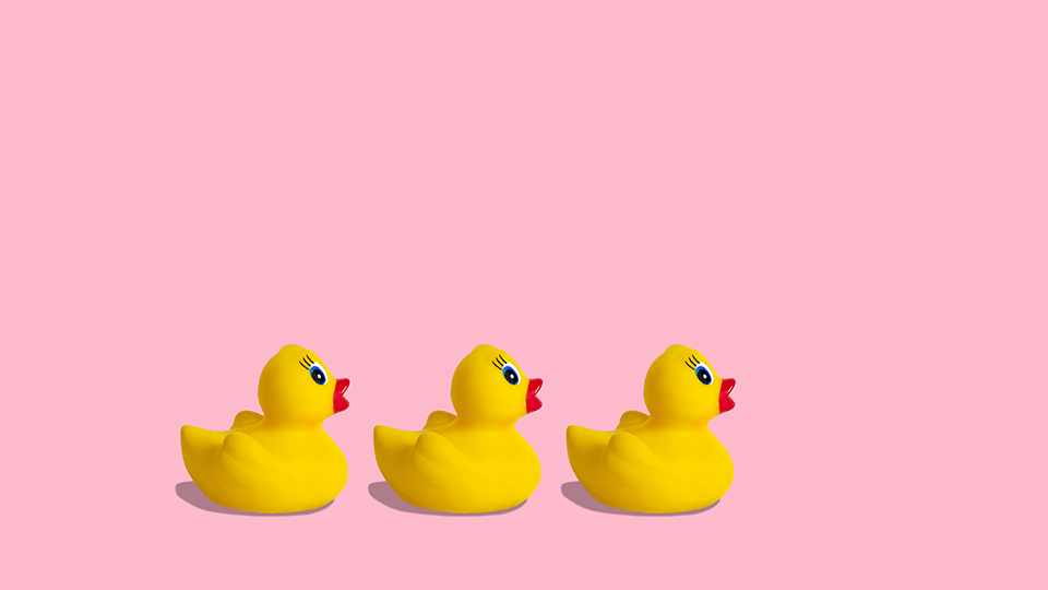 ducks in a row