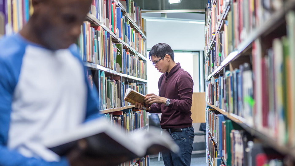 PGR student studying in the library