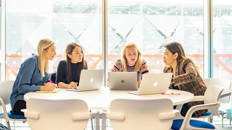 Students undertaking group work