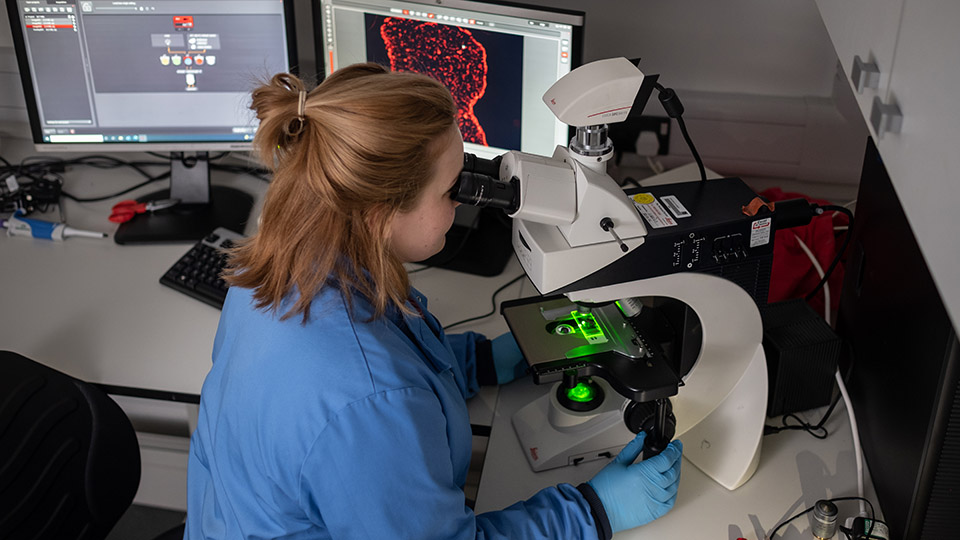 Andrew Capel's research lab