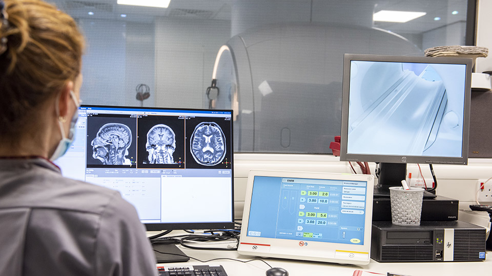 Research viewing brain scans