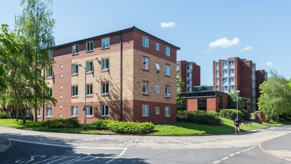 A daytime exterior view of David Collett accommodation buildings, featuring multi‑storey red‑brick and beige‑brick blocks surrounded by green lawns, trees, and pathways under a bright blue sky with scattered clouds.