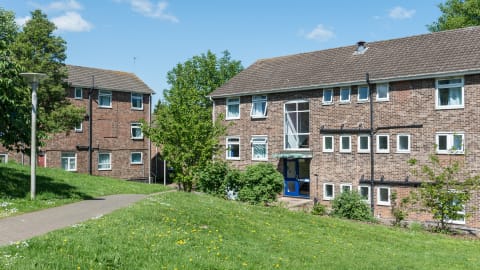 Exterior of Cayley halls