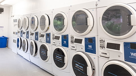 Washing and drying machines in the Cayley laundrette
